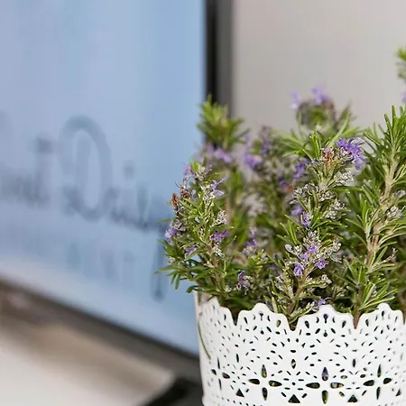 Apartamento Sweet Daisy With Parking *