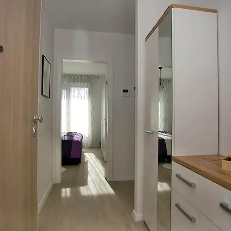 Sweet Daisy With Parking ザダル