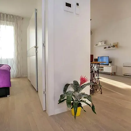 Sweet Daisy With Parking