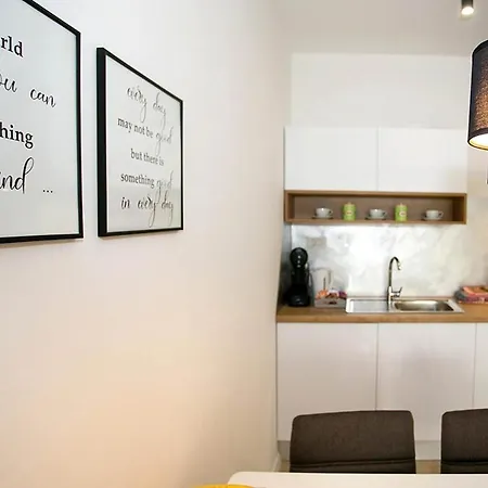 Sweet Daisy With Parking Zara